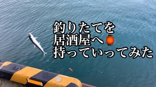 函館 で 大増殖中 のマイワシ を 釣って 居酒屋 で 捌いてもらって 刺身 で食う！釣りたて の 魚は美味い！？ 函館居酒屋🏮宝来東屋