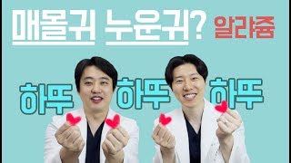 매몰귀와 누운귀? 알아봅시다앙~