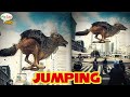 city ​​jump animal photo manipulation | Picsay Pro Tutorial