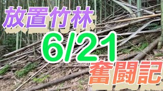 放置竹林奮闘記【サラリーマンが竹を切る日々】2023/6/21