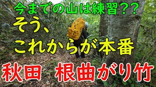 I went to collect bamboo at the root bend.part2