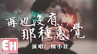 楊小壯 - 再也沒有那種感覺『曾經以為不會放棄我那個她，現在是我心上的那道疤。』【動態歌詞 Pinyin Lyrics】