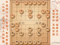 中国象棋： 象棋 仙人指路 卒底炮对仙人指路飞象局复盘讲解