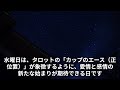 【牡羊座】2025年1月26日から2月1日までのおひつじ座の総合運。 牡羊座 おひつじ座