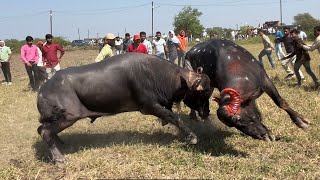 🔥विक्रम vs जग्या 🔥Pado ki ladai Dawat khedi Ujjain mp #hellokitakkar #padokitakkar #viral #shorts