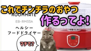 フードドライヤーがお便利な件 #chinchilla  #チンチラ #친칠라