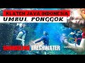 UMBUL PONGGOK SNORKELING FRESHWATER |KENDAL JAVA INDONESIA