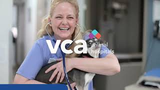 What It Means to be Part of the VCA Care Network