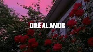 Dile al amor-Aventura (lyrics/letra)
