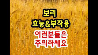 보리 효능과 부작용 드시기전에 확인하세요~