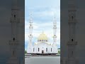 beautiful masjid photo video #viral #short #video