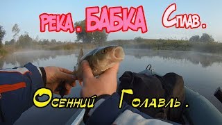 Сплав по реке Бабка, в поисках белого хищника