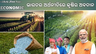 ଭାରତୀୟ ଅର୍ଥନୀତିରେ କୃଷିର ଭୂମିକା . Agriculture infact in indian economic +2Arts First Year .Phulbani