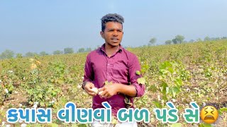 કપાસ વીણવો બળ પડે સે 😫 // Kapas Vinvo Bal Pade Se // Gujrati vlog // Dk koli Vlog