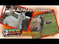 African Safari Wildlife Park 2014 commercial