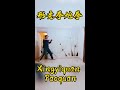 形意拳炮拳 xingyiquan paoquan explicado