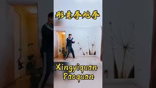 形意拳炮拳 Xingyiquan Paoquan Explicado