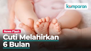 Draf RUU KIA: Cuti Melahirkan Minimal 6 Bulan, Tak Boleh Dipecat