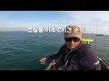 겨울 서해 농어 낚시 대천 앞바다 농어 잡다 광어 スズキ ヒラメ 釣り korean boat seabass fishing