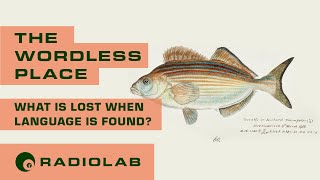 The Wordless Place | Radiolab Podcast