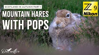 Scottish Autumn Adventure - Pt 1 - Mountain Hare with Pops