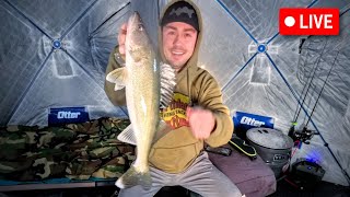 LIVE 🔴 Walleye Fishing on Upper Red Lake