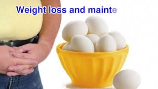 Egg Health Benefits   Health Tips   Healthy Living   Eat Eggs Daily   Protein Store   Copy