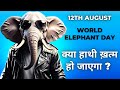 WORLD ELEPHANT DAY 2024 | #elephant #elephantattack #elephantvideo #worldelephantday2024