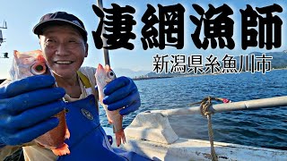 luxury fish Nodoguro！Japanese fisherman