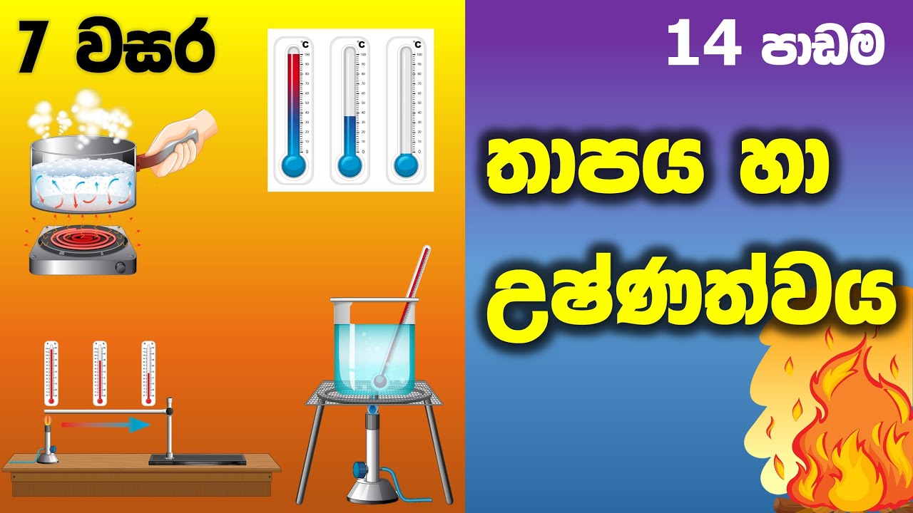 Grade 7 Science Textbook Sri Lanka