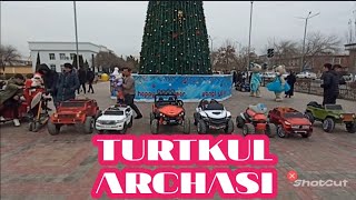 TURTKUL ARCHASI XAKIMYAT ALDI