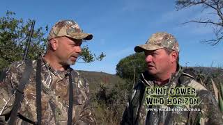 Wild Horizon 2012 kudu and Springbok