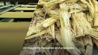Real Progress in pulp and paper is driving a sustainable future through collaborative innovation