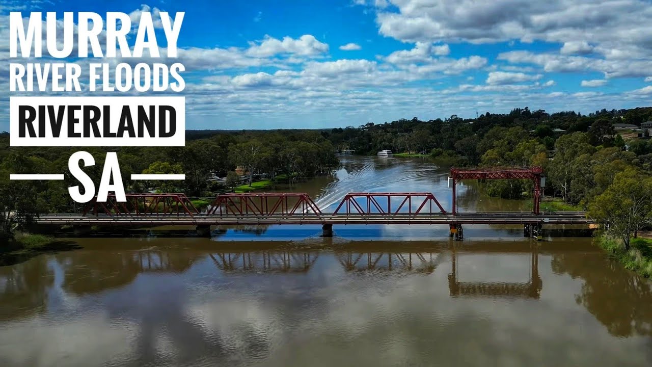 Murray River Floods 04 Nov 2022 - Riverland, South Australia - Renmark ...