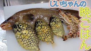 【爺ちゃんの晩ご飯】マツカサウオとイタチウオを捌いて刺身と天ぷら定食を作ったよ！