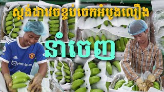 វេចខ្ចប់ចេក Picking House Banana