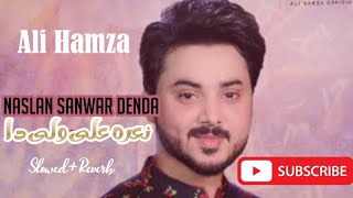 Naslan Sanwar Denda Nara Ali as Wali Da|Slowed+Reverb|Ali Hamza|2019-2024