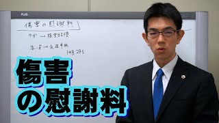 傷害の慰謝料／厚木弁護士ｃｈ・神奈川県