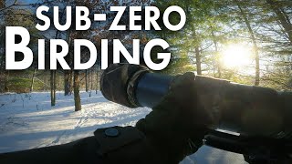 Birding Below Zero | Tips for Staying Toasty! | Birds with Beau