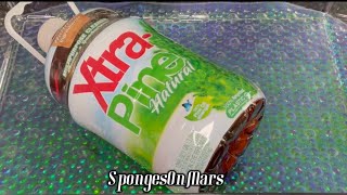 ASMR: Big Daddy Xtra-Pine + Pine O Pine Mix + Sponge Rinsing + Sudsy Rinse 🤤