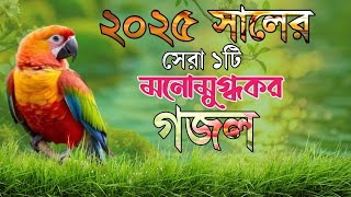 মনোমুগ্ধকর নতুন গজল | New Bangla Best Gojol 2025 | ২০২৫ সালের সেরা হিট গজল Bangla Viral Ghazal Akram