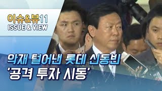 [뉴스후] 악재 털어낸 롯데 신동빈, 공격 투자 시동 / 머니투데이방송 (뉴스)