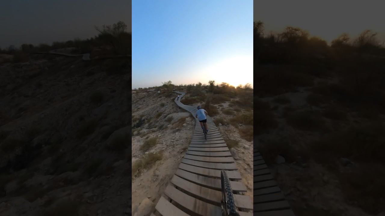 Epic Wooden Mountain Bike Trail 😍 #shorts #mtb #insta360 #viral - YouTube