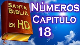 Números Capitulo 18 - Santa Biblia Reina-Valera (Audio Remasterizado) HD