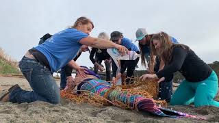 The Mendocino Mermaids Beach Rescue - Help us Keep our Beaches Clean!