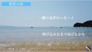 県民の浜