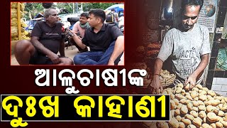 ଆଳୁ ଚାଷୀଙ୍କ ଦୁଃଖ କାହାଣୀ | Potato | Farmers | newsroom |