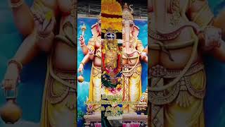 இணுவில் பரராஜசேகரப்பிள்ளையார் 5ம் திருவிழா 5/6/2024