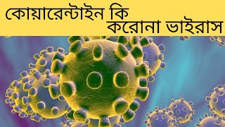 কোয়ারেন্টাইন কি ? করোনা ভাইরাস What is Quarantine Bangla