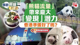 專題・熊貓經濟｜「熊貓流量」帶來龐大「變現」潛力　香港準備好了嗎？（系列之二）